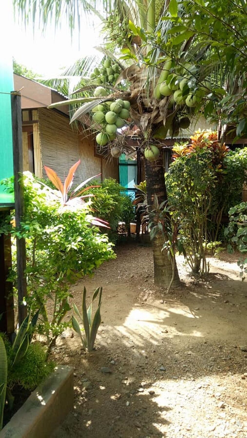 Devayn'S Inn إل نيدو المظهر الخارجي الصورة